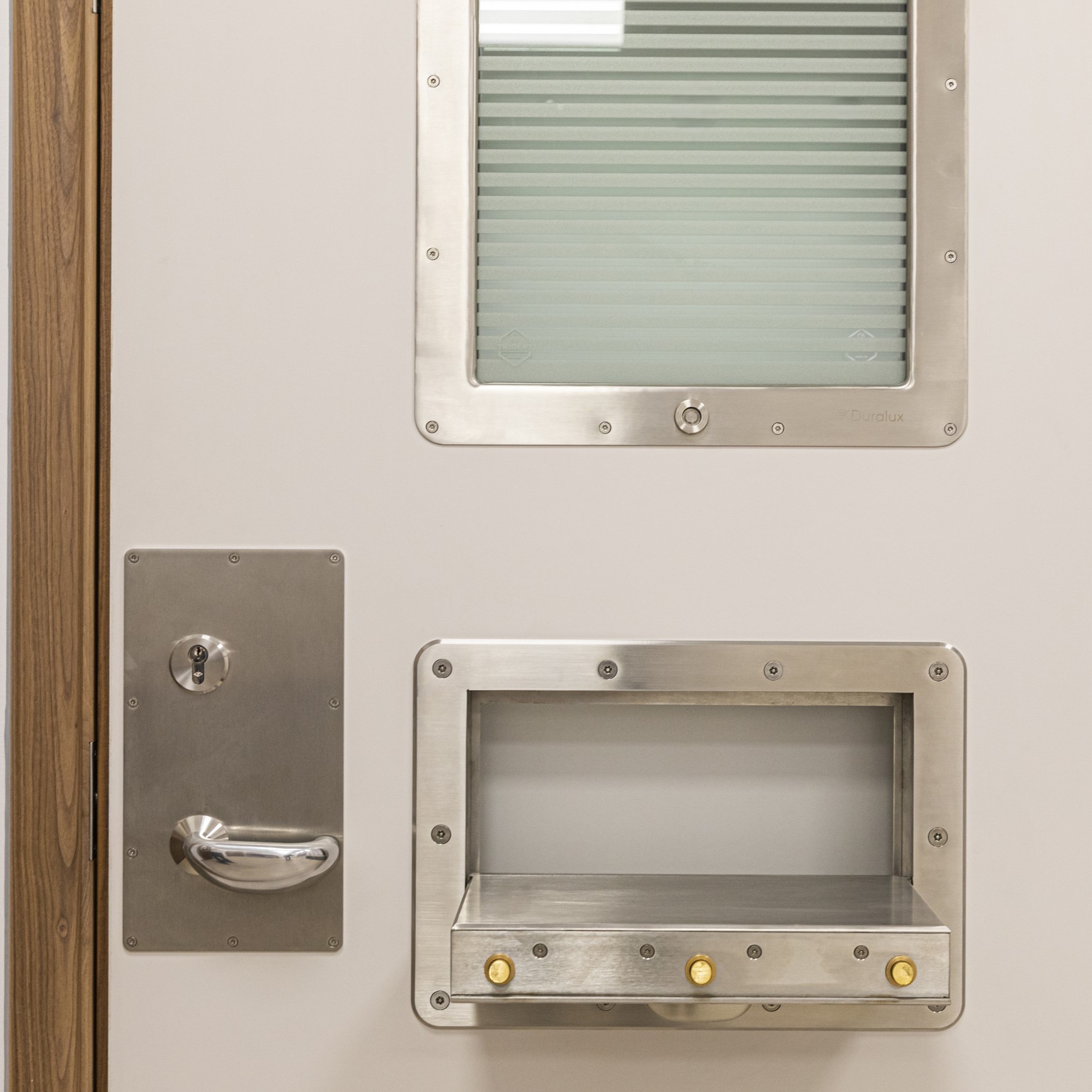 Anti Ligature SECLUSION room door system.