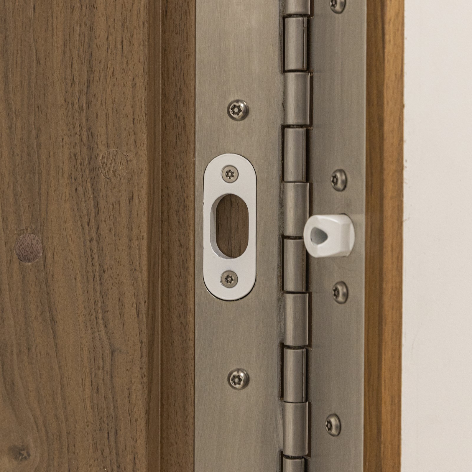 SECLUSION Door System with continuous hinge.