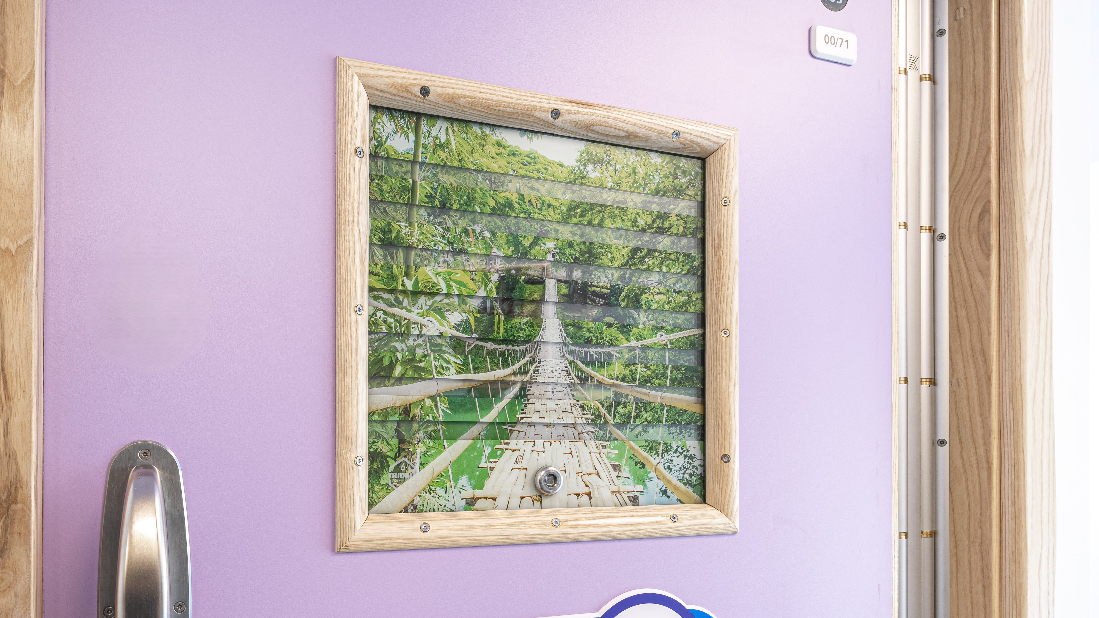 Visilux anti ligature observation panel for mental health wards.