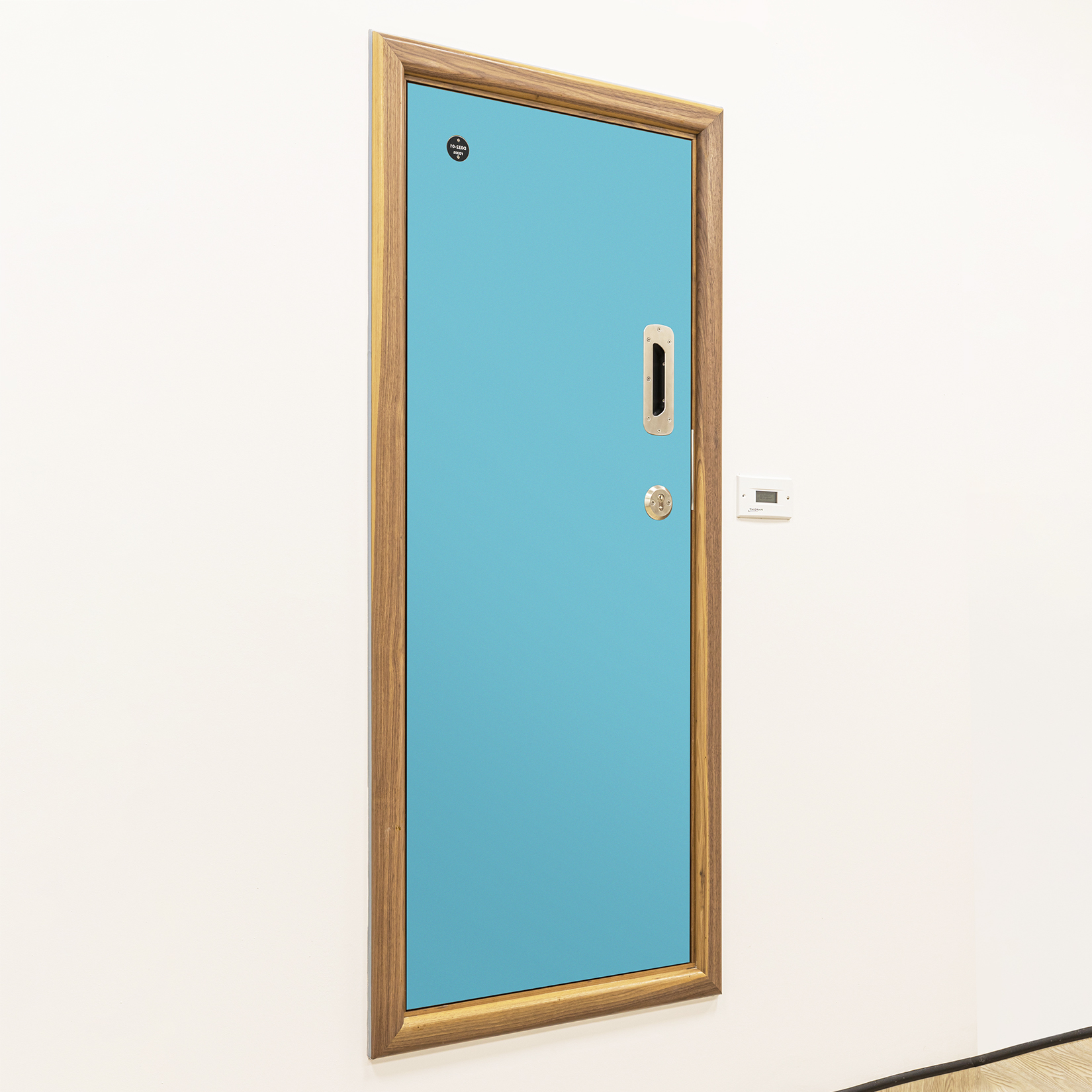 Kingsway Group's anti-ligature riser cupboard door, the SERVICE Complete Door System, shown with a customised coloured finish.